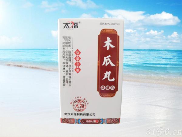 木瓜丸