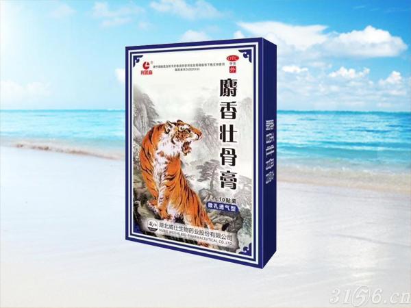 麝香壯骨膏