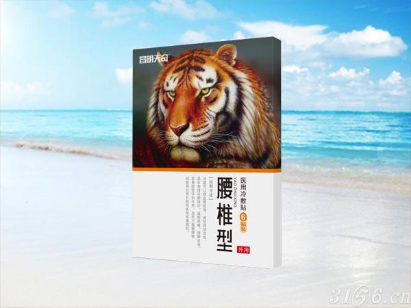 醫(yī)用冷敷貼腰椎型